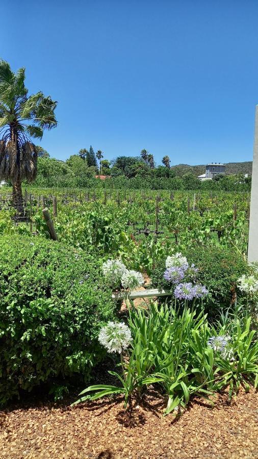 The Vineyard Country House Montagu Buitenkant foto