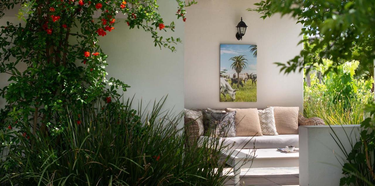 The Vineyard Country House Montagu Buitenkant foto