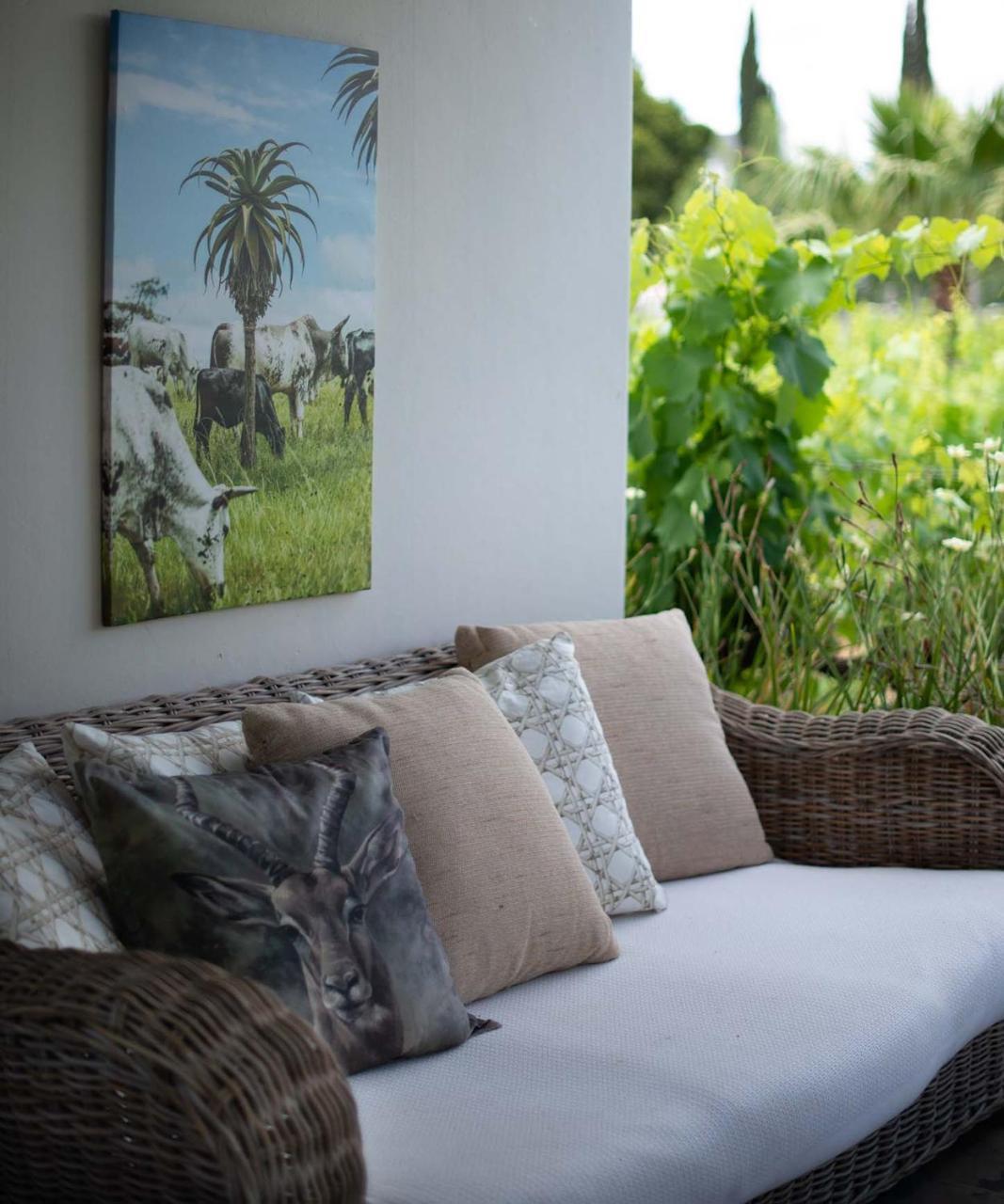 The Vineyard Country House Montagu Buitenkant foto