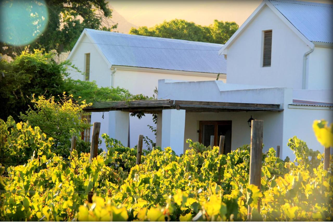 The Vineyard Country House Montagu Buitenkant foto