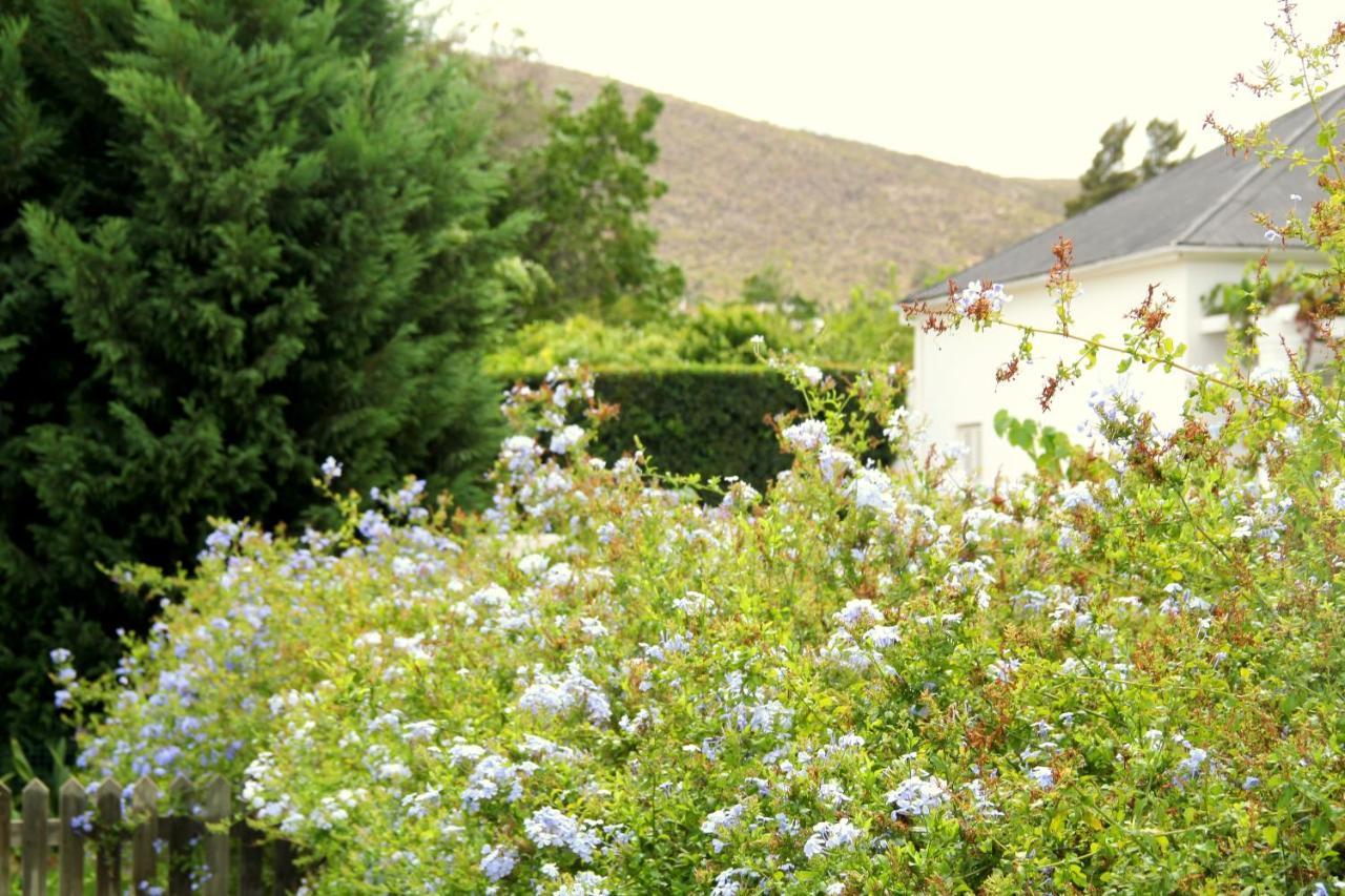 The Vineyard Country House Montagu Buitenkant foto