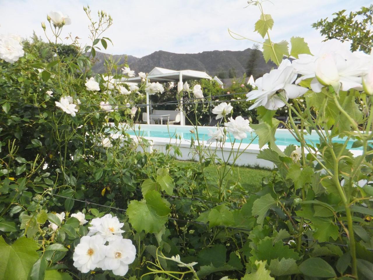 The Vineyard Country House Montagu Buitenkant foto